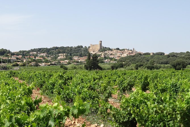 Morning Wine Tour to Chateauneuf du Pape from Avignon - Stop 1 at the Chateau de Chateauneuf-du-Pape: 30 minutes of perspective