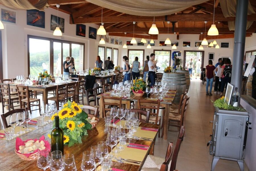 Mount Etna: Winery Tour and Tasting - Why This Mount Etna Winery Tasting Works So Well