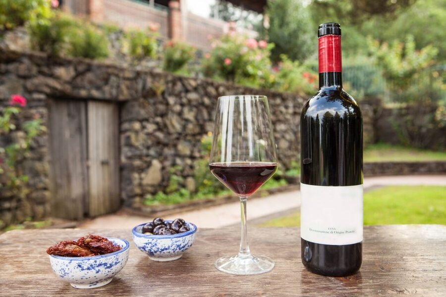 Mount Etna: Winery Tour and Tasting - The Winery Tour on the Walkway: Barrels, Pairing Secrets, and Production Basics
