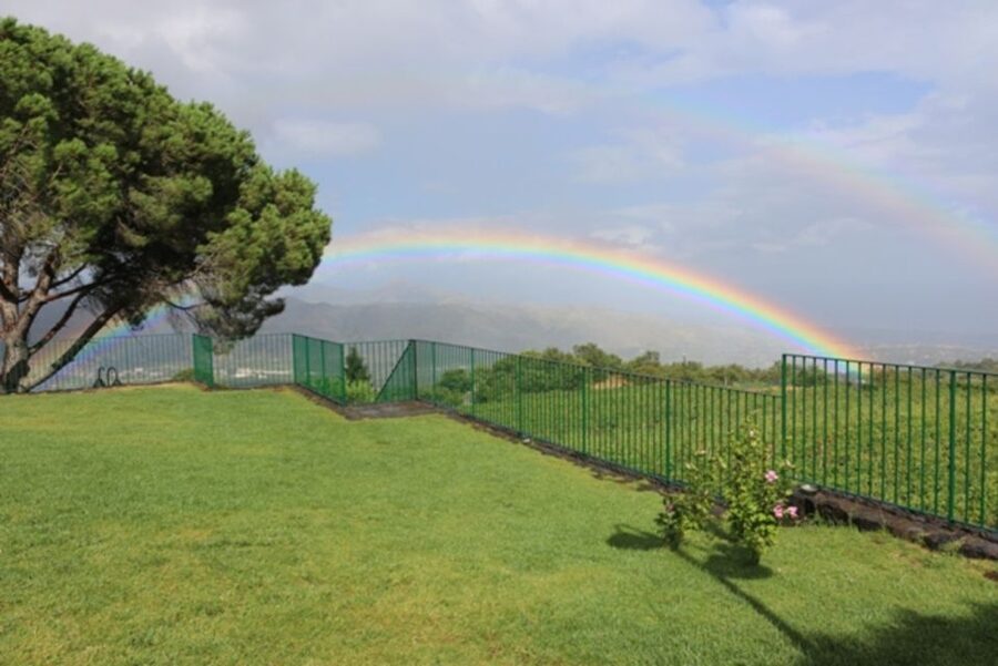 Mount Etna: Winery Tour and Tasting - Getting There: The One Thing to Plan Carefully