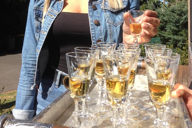 Mount Tamborine Wine Tasting Tour from Brisbane or the Gold Coast - Who This Tour Suits Best (and Who Might Want a Different Plan)