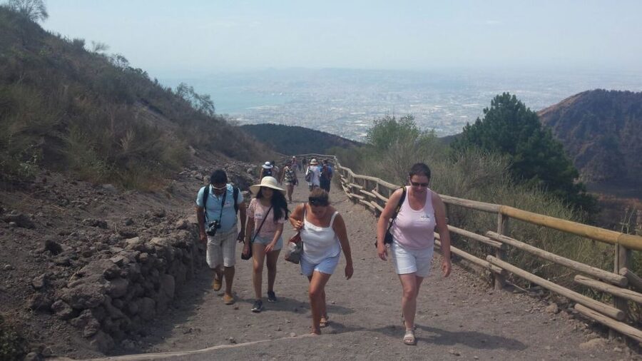 Mount Vesuvius 4-Hour Volcano Tour with Wine Tasting - Key highlights worth your attention