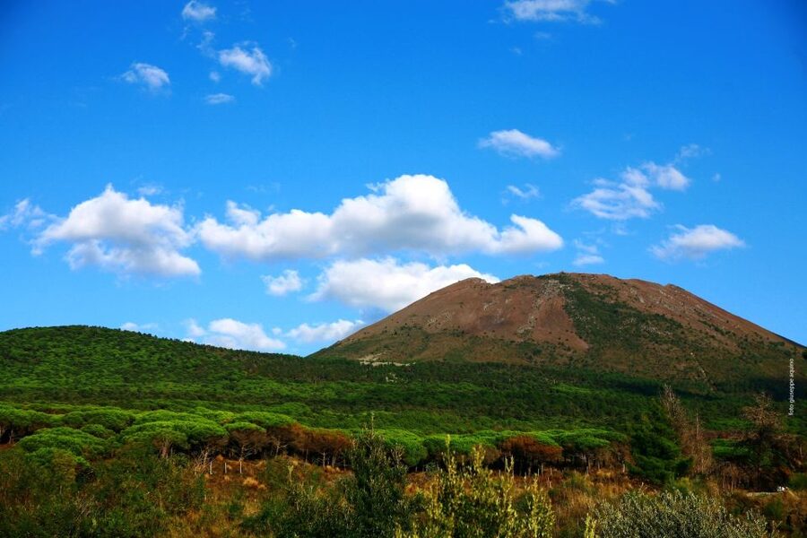 Mount Vesuvius 4-Hour Volcano Tour with Wine Tasting - Should you book this Mount Vesuvius 4-hour volcano tour?