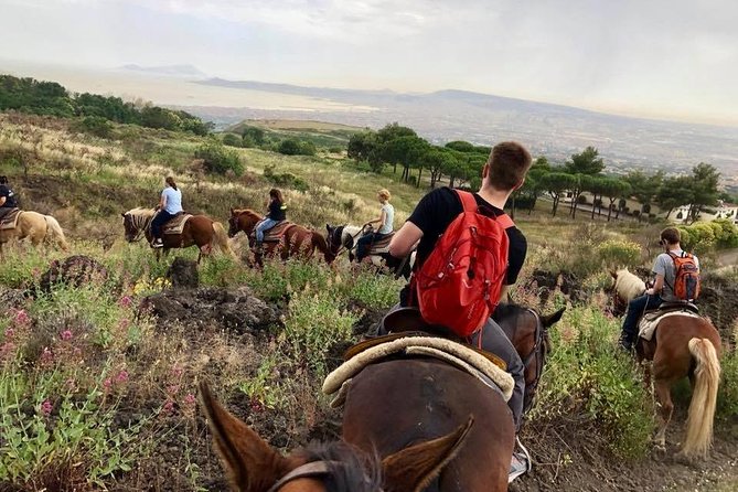 Mount Vesuvius Guided Horse Riding Tour with Sample Wine - Wine and snacks at the ranch: the best kind of downtime