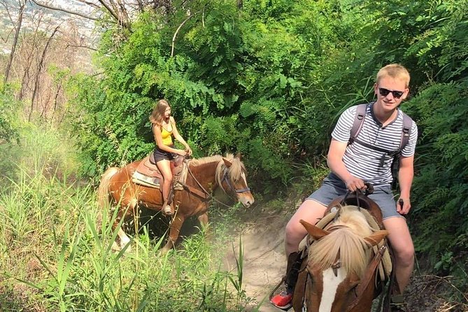 Mount Vesuvius Guided Horse Riding Tour with Sample Wine - Safety, horse care, and the one downside you should take seriously