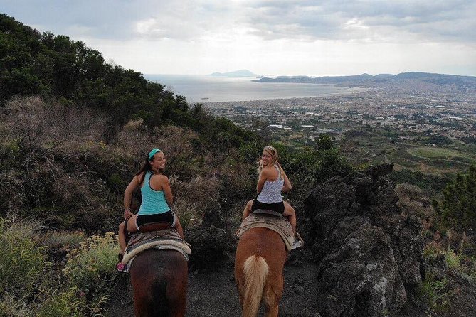 Mount Vesuvius Guided Horse Riding Tour with Sample Wine - Who this tour fits best (and who should rethink it)