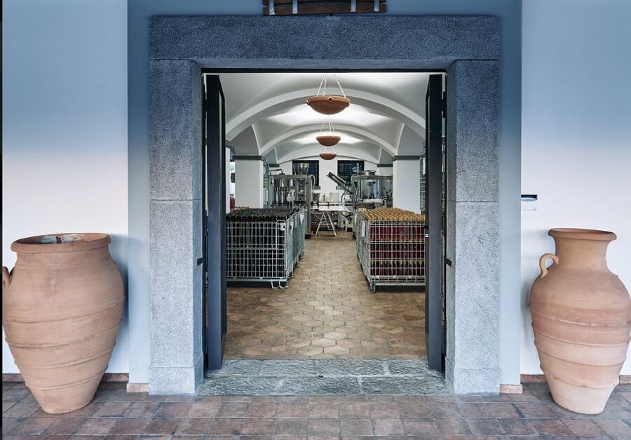Mount Vesuvius: Vineyard Tour with Wine Tasting and Lunch - Lunch on the Slopes: Local Olive Oil, Wine Vinegar, and Pairings