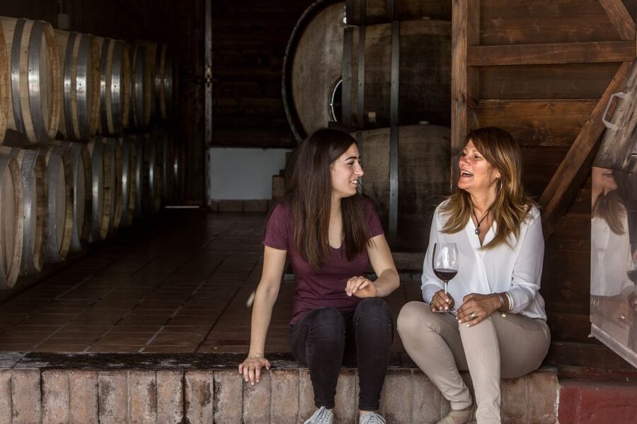 Mount Vesuvius: Vineyard Tour with Wine Tasting and Lunch - Views From the Cantina: Naples Bay, Sorrento, Capri, and Vesuvius