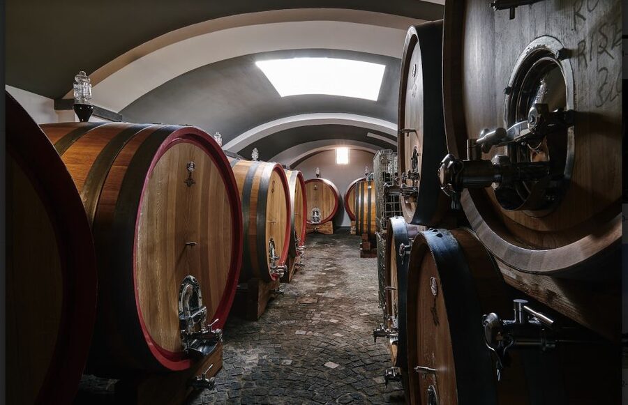 Mount Vesuvius: Vineyard Tour with Wine Tasting and Lunch - Price and Value: Is $65 Worth It?