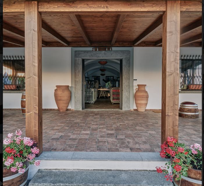 Mount Vesuvius: Vineyard Tour with Wine Tasting and Lunch - Should You Book Cantina del Vesuvio?