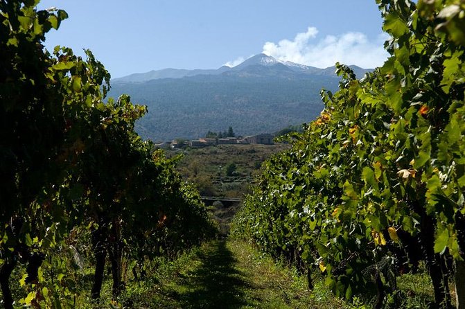 Mt Etna and Wine tasting tour from Catania - Small-group feel: why max 8 travelers is a big deal on Etna