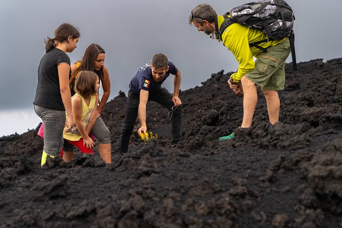 Mt Etna and Wine tasting tour from Catania - Mount Etna trekking: what a guided natural path actually gives you