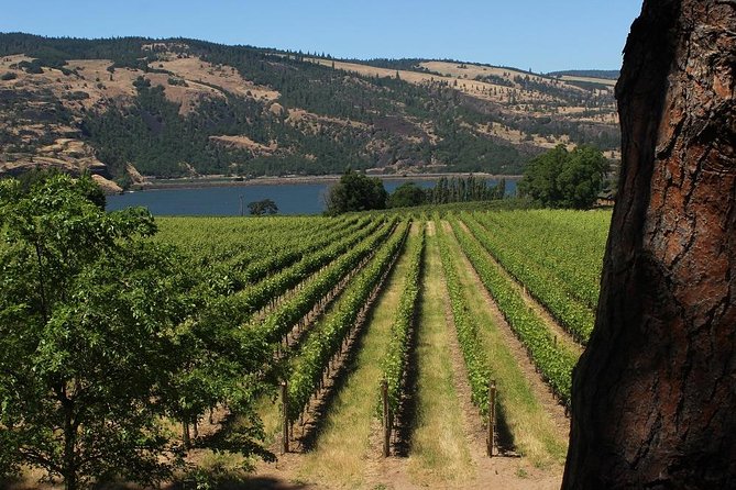 Mt Hood, Waterfalls, and Wine Tour - One Day to See Multnomah Falls, Vista House, and Mt. Hood