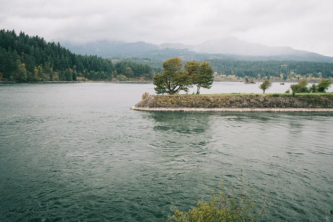 Mt Hood, Waterfalls, and Wine Tour - Is It Good Value at $147.25 Per Person?