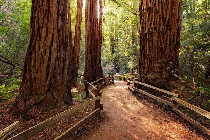 Muir Woods & Wine Tour: Redwoods & Tastings at 3 Wineries - Key things to know before you go