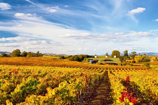 Muir Woods & Wine Tour: Redwoods & Tastings at 3 Wineries - Timing and group size: how to avoid the long-day fatigue