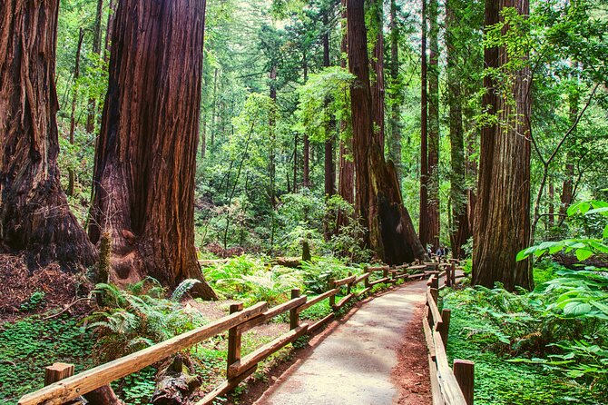 Muir Woods & Wine Tour: Redwoods & Tastings at 3 Wineries - Sonoma Plaza lunch hour: where your day smells like coffee, cheese, and vines