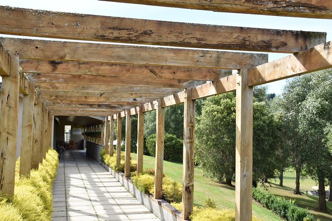 Muriwai Scenic Wine Tour from Auckland - Wine tasting in West Auckland: what you’ll taste and where the value comes from
