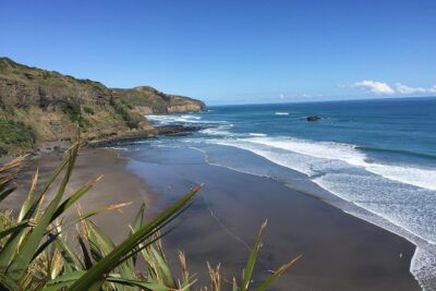 Muriwai Scenic Wine Tour from Auckland - Otakamiro Point and the gannets: the bird moment at cliff level