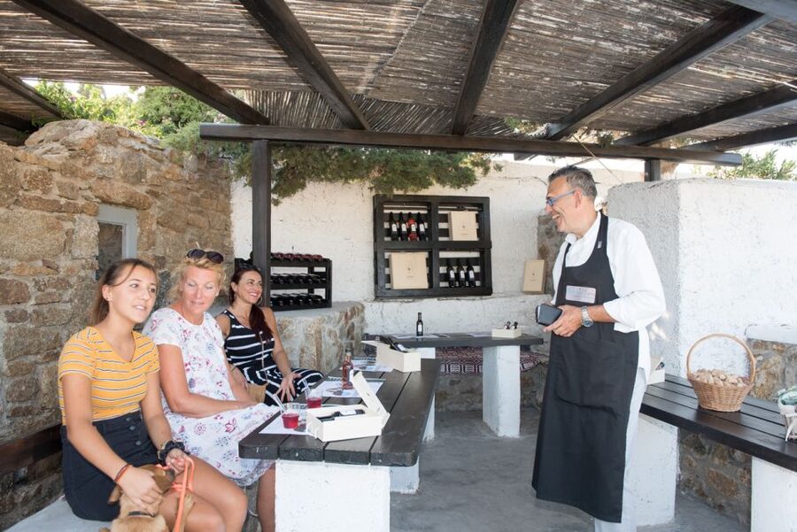 Mykonos: Wine Tasting at a Mykonian Farm - Key Highlights You’ll Want to Know