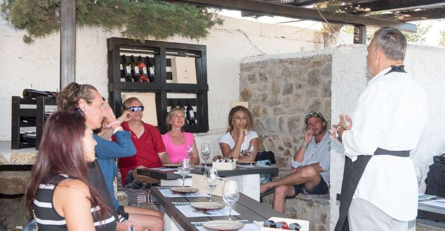 Mykonos: Wine Tasting at a Mykonian Farm - Should You Book the Mykonos Farm Wine Tasting?