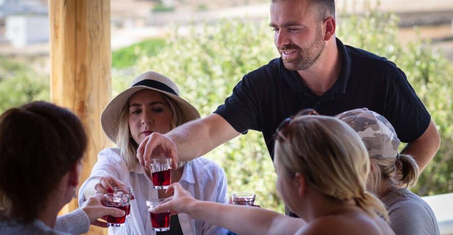 Mykonos: Winery Vineyard Experience with Food & Wine Tasting - Entering The Olive Grove: Why This Starts Off Right