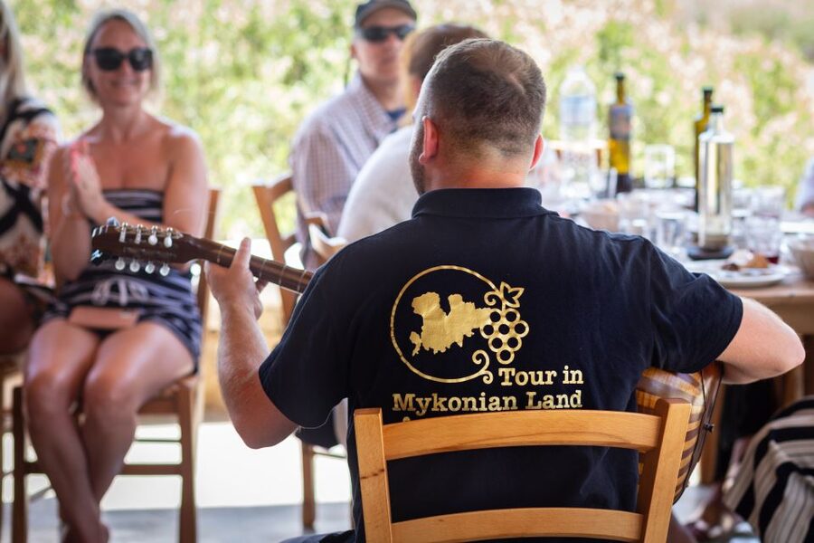 Mykonos: Winery Vineyard Experience with Food & Wine Tasting - Views and Setting: Why Getting Out of Town Matters