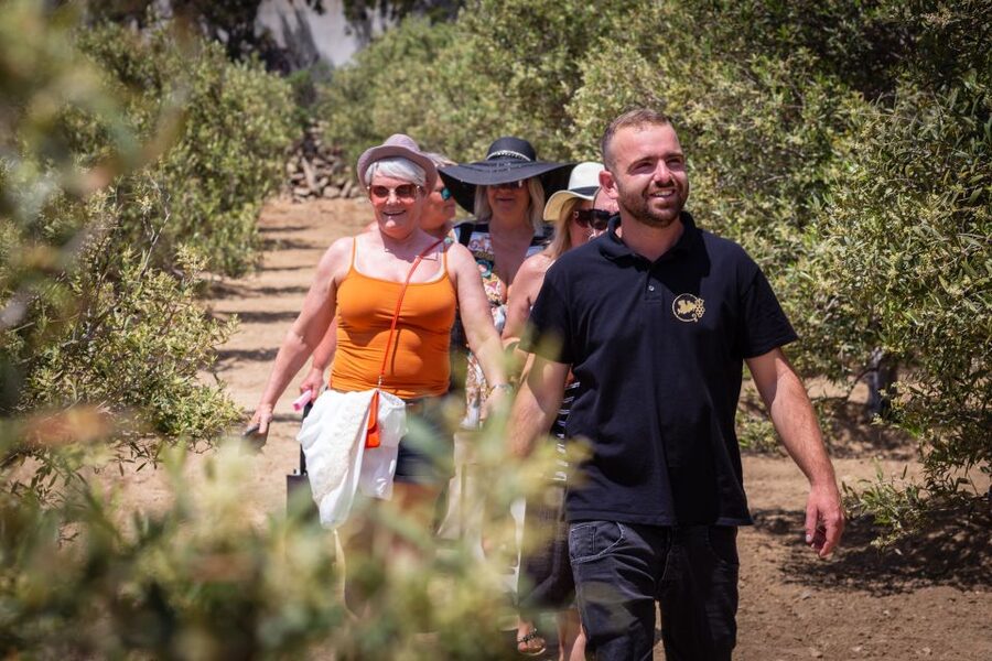 Mykonos: Winery Vineyard Experience with Food & Wine Tasting - Price and Getting There Without Pickup