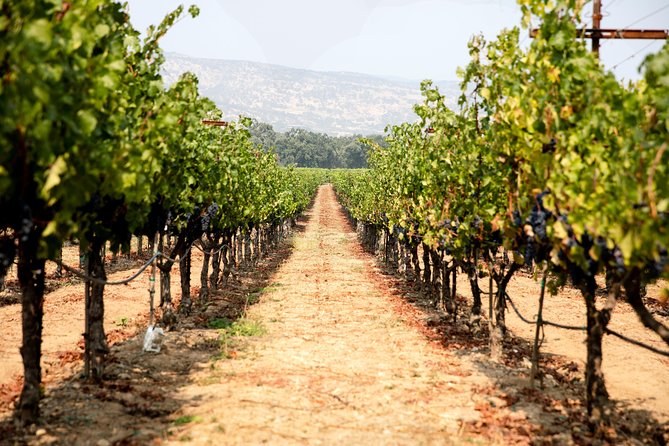Napa and Sonoma Wine Country Full-Day Tour from San Francisco - Coach Comfort, Group Size, and the Timing You Should Expect