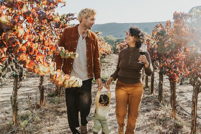 Napa and Sonoma Wine Tour from San Francisco - What the Guide Actually Adds (From Local Stories to Real Tasting Tips)