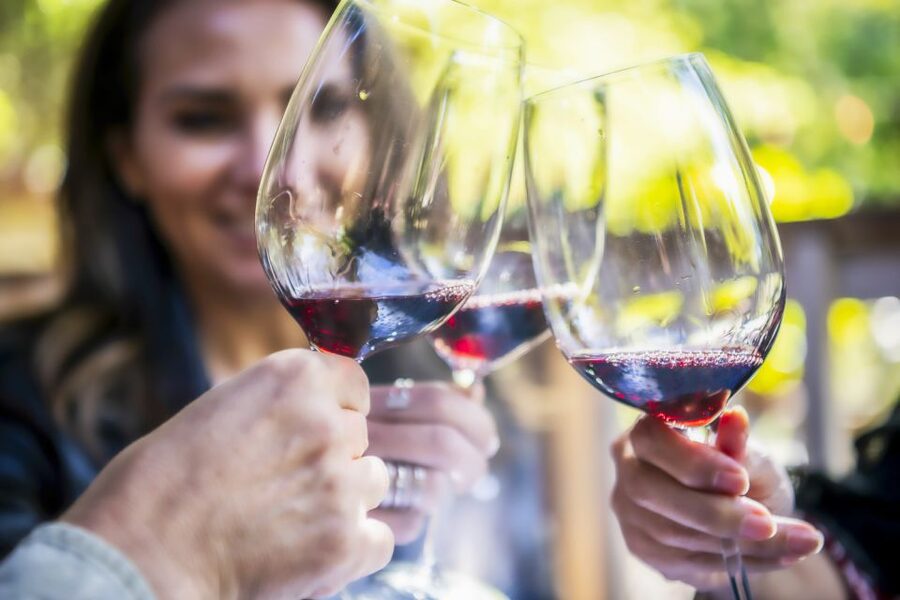 Napa Valley: Guided Wine Tour with Picnic Lunch - Key highlights to know before you go