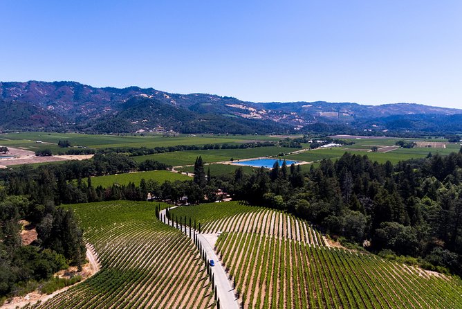 Napa Valley's Best Wine Tour w/ Local Expert - Sonoma’s tasting time: more than just another stop