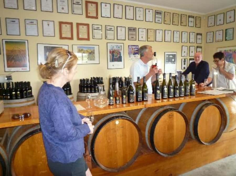 Napier: Afternoon Winery & Gin Tasting Tour Thu Fri Sat - Real-world gotchas: days without gin, days without beer, and seasonal changes