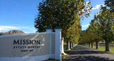 Napier: Afternoon Winery & Gin Tasting Tour Thu Fri Sat - Getting picked up, getting settled, and staying comfortable for 4.5 hours