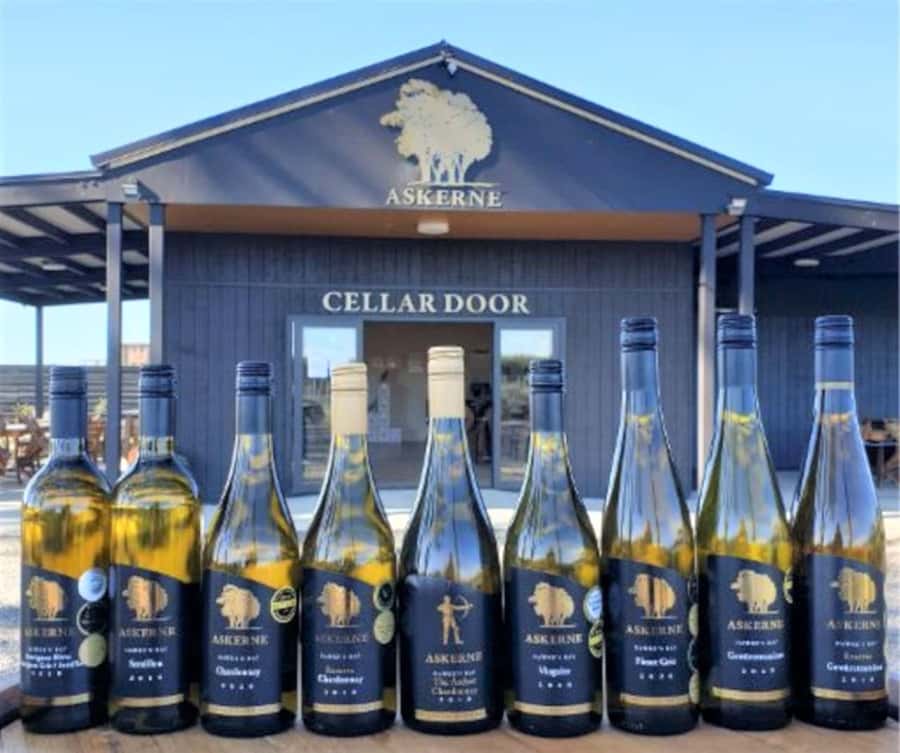 Napier: Afternoon Winery & Gin Tasting Tour Thu Fri Sat - How to enjoy the tastings like a pro (without turning it into homework)