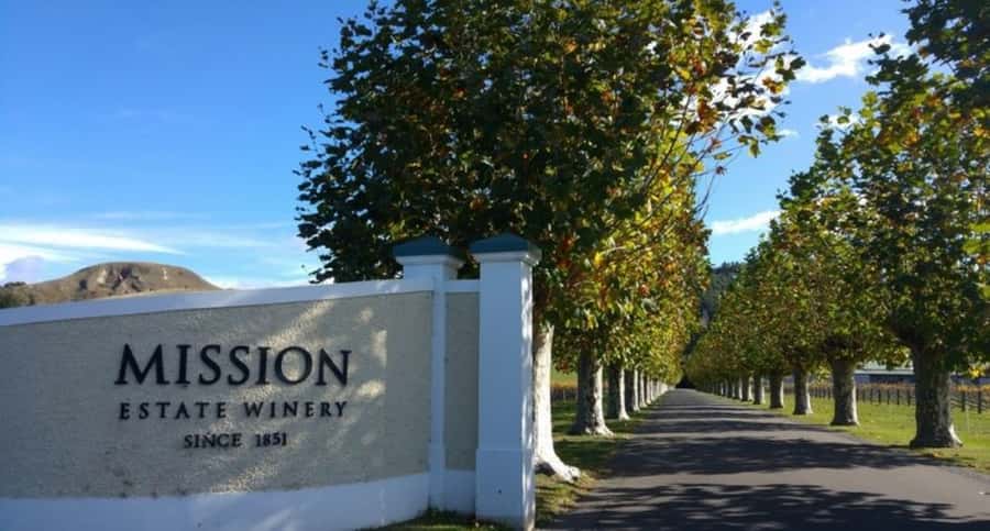 Napier: Afternoon Winery Tour Tasting at 3 Great Wineries - Pickup to Oak Avenue: The Ride That Sets the Tone