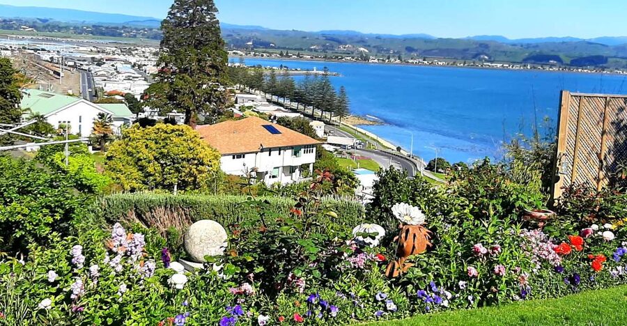 Napier: Art-Deco + Te Mata Peak+ Garden Walk + Wine Tasting - Price and Value: What $89 Buys You Here