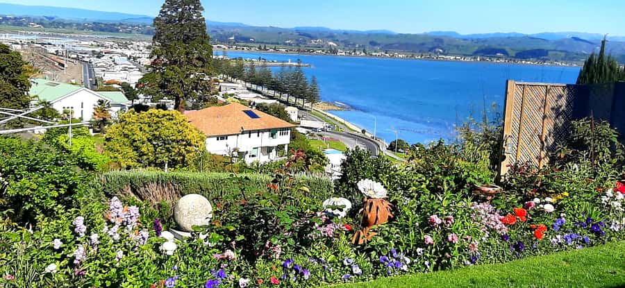 Napier: Art-Deco + Te Mata Peak+ Garden Walk + Wine Tasting - Bluff Hill Lookout: Views With Your Ship in the Frame