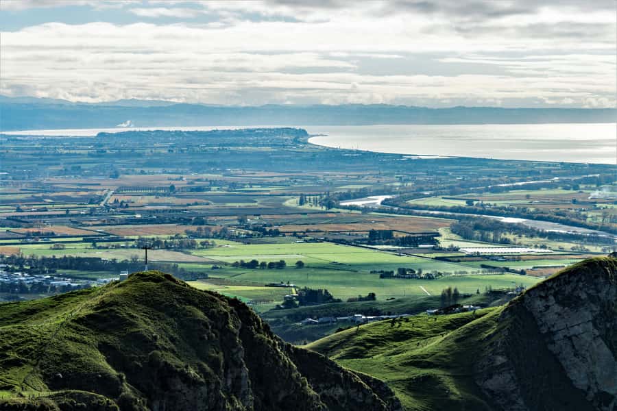 Napier: Art-Deco + Te Mata Peak+ Garden Walk + Wine Tasting - Te Mata Peak: The Best Reward for the Climb