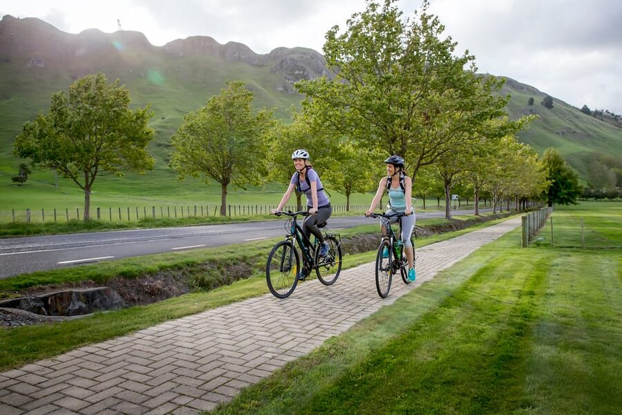 Napier: Cape Coast Winery Tour on E-Bikes - Te Mata Estate: booking matters and the medals are a clue