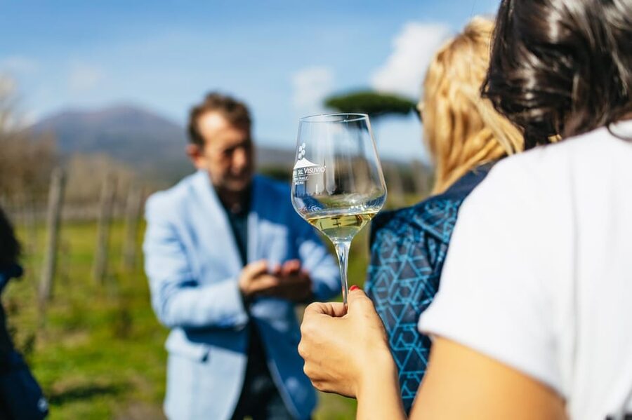 Naples: Pompeii and Mt. Vesuvius with Lunch and Wine Tasting - Pickups in Naples: many meeting points, one clear plan