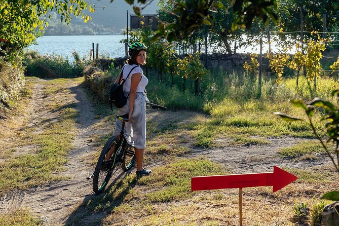 Naples Scenic E-Bike Ride to a Local Vineyard with Meal - The Vineyard Stop: Wine Tasting and Local Antipasto