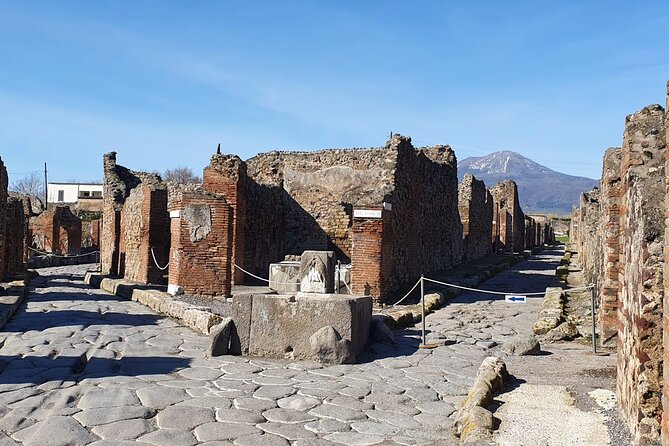 Naples: Tour of Mt Vesuvius and Pompeii w/ Lunch & Wine tasting - Door-to-door pickup in Naples: less time navigating, more time absorbing