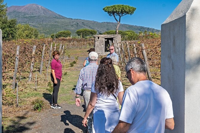 Naples: Tour of Mt Vesuvius and Pompeii w/ Lunch & Wine tasting - The tour team: what makes the day feel smooth