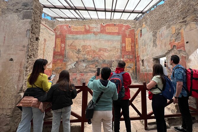 Naples: Tour of Mt Vesuvius and Pompeii w/ Lunch & Wine tasting - Pompeii in about two hours: what you can actually see