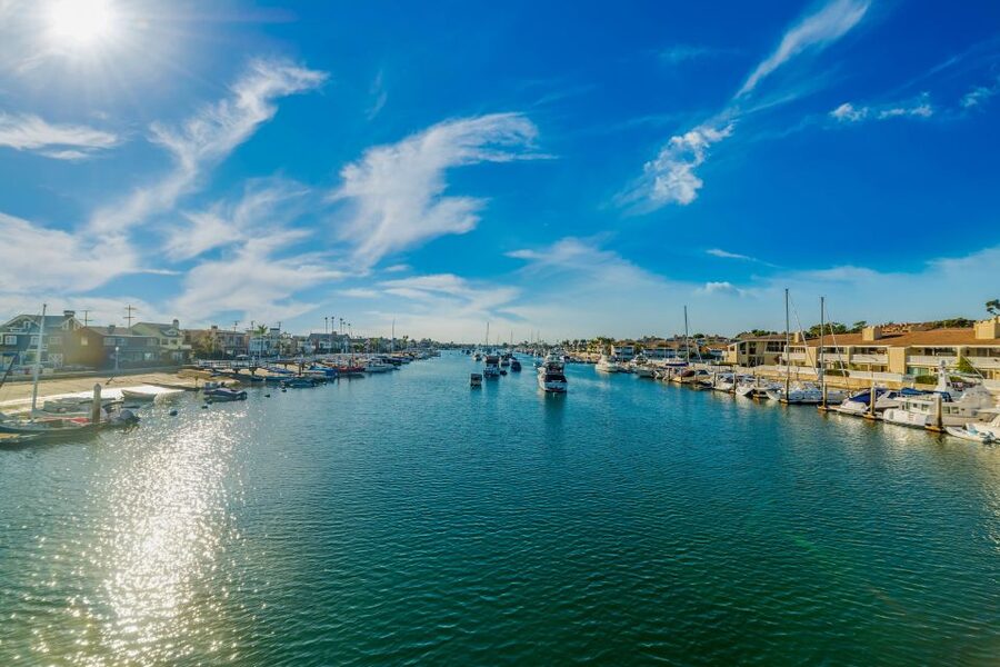 Newport Beach: City Cruises Champagne & Brunch Buffet Cruise - Price and value: $99 for a meal plus unlimited drinks