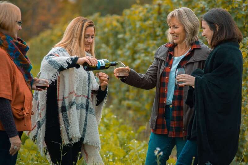 Niagara, Canada: Half-Day Winery Tour with Tastings - A well-paced half-day plan that fits Niagara