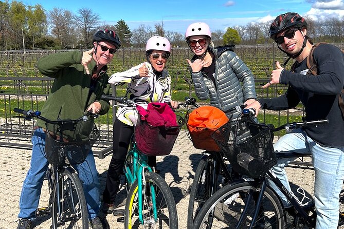 Niagara-on-the-Lake Cycle and Wine-Tasting Tour with Optional Lunch - Your ride setup: cruiser bikes, helmets, and the electric upgrade
