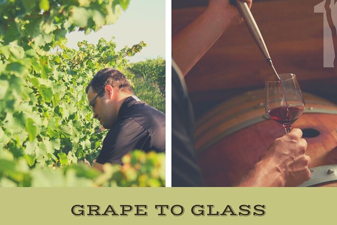 Niagara-on-the-Lake Grape to Glass Wine Experience - Key things to know before you go