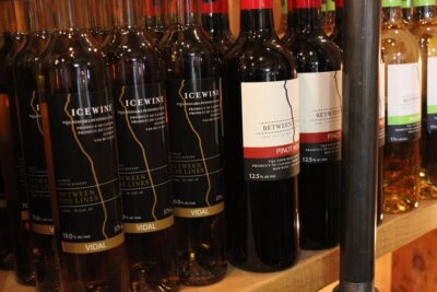 Niagara-on-the-Lake Grape to Glass Wine Experience - The 45-minute flow: what actually happens during the tour